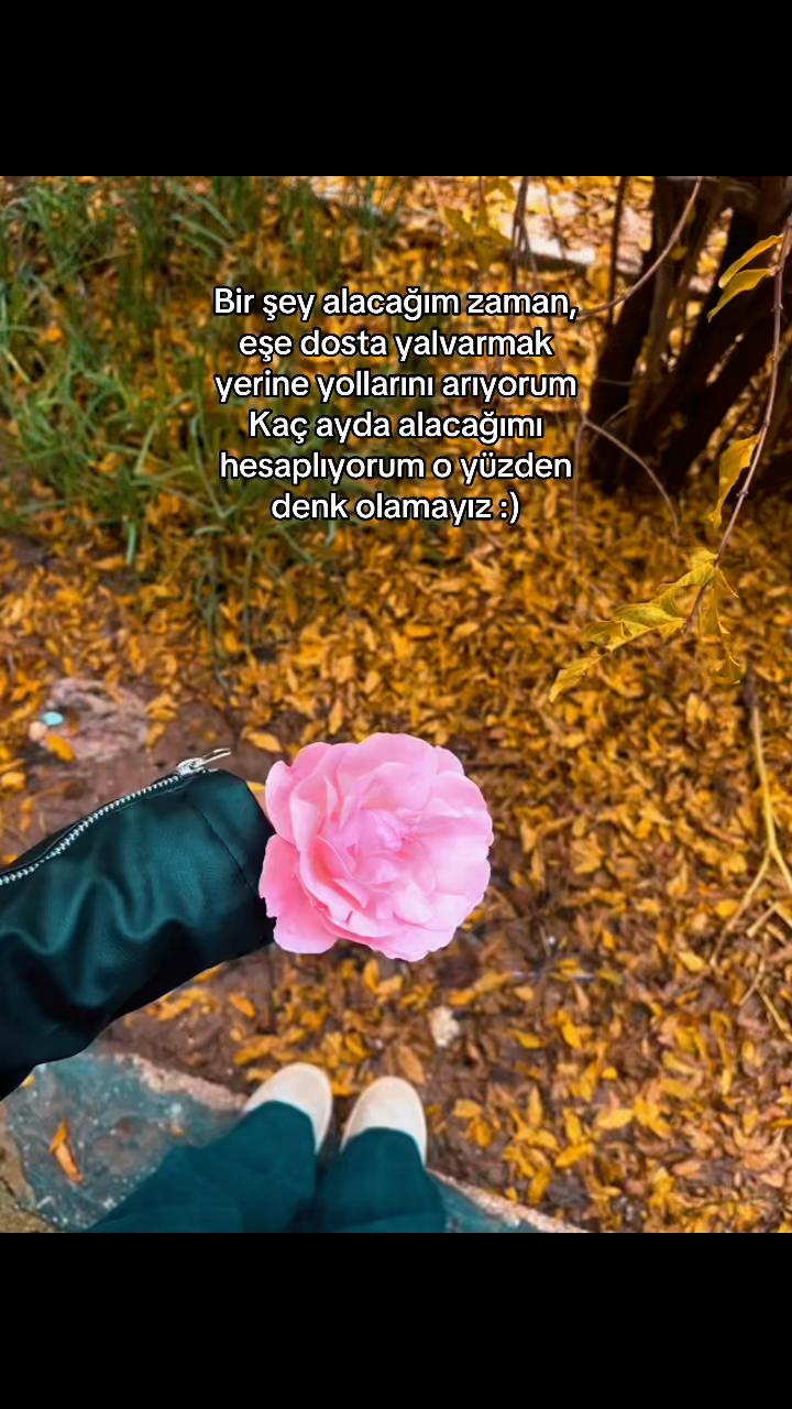 @yeşim orğan🪬