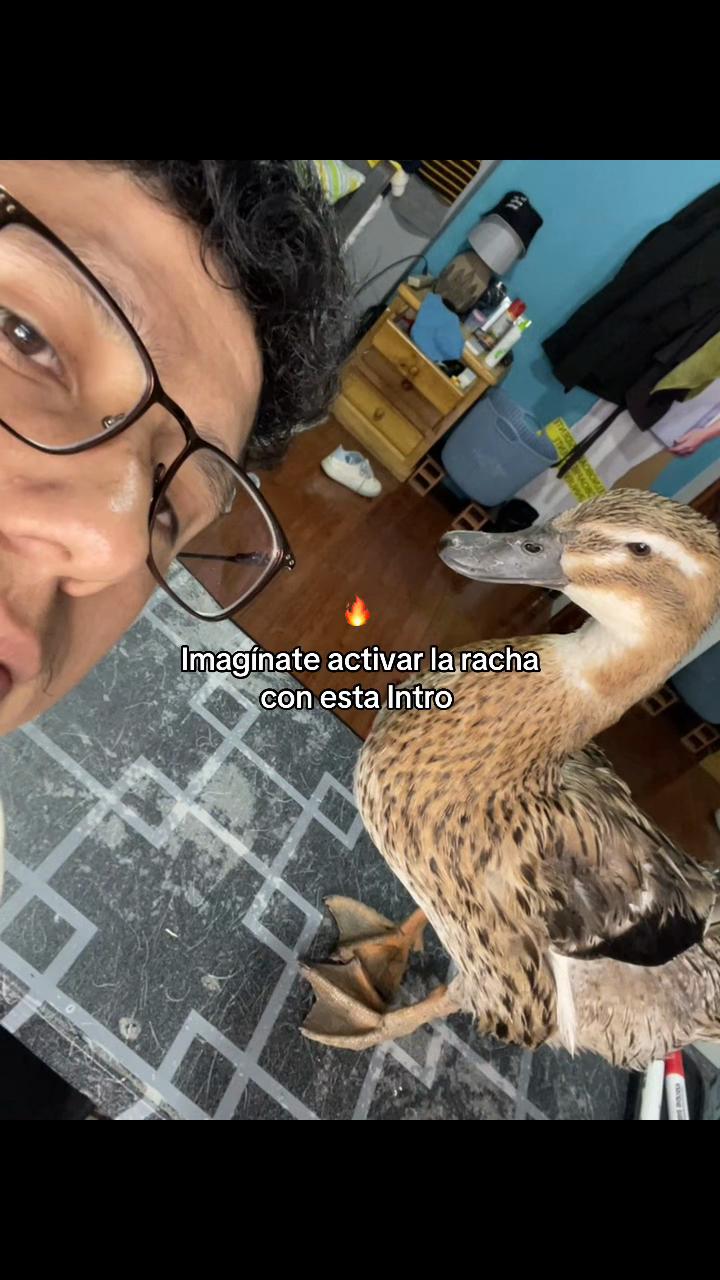 @Abel 🧃