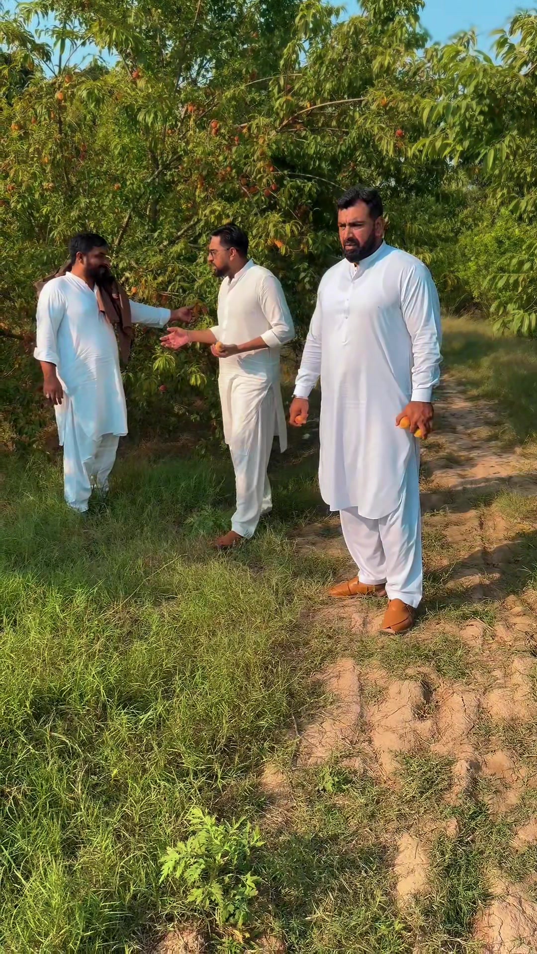 @MADI SYED 🔥🇵🇰