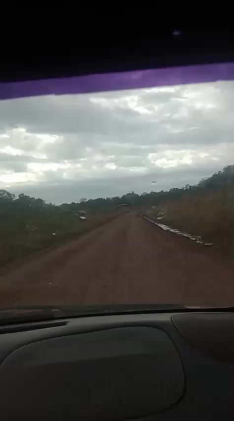 @sirenita del Paraná💗