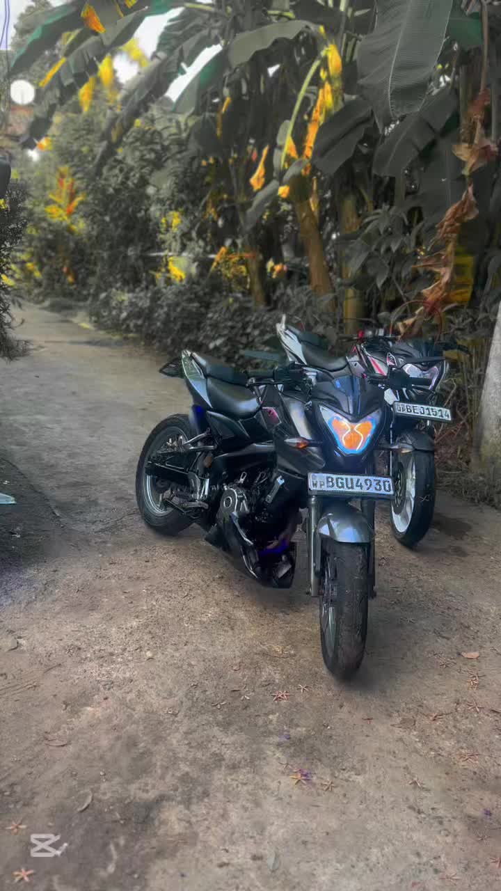 @Ayodya🍒