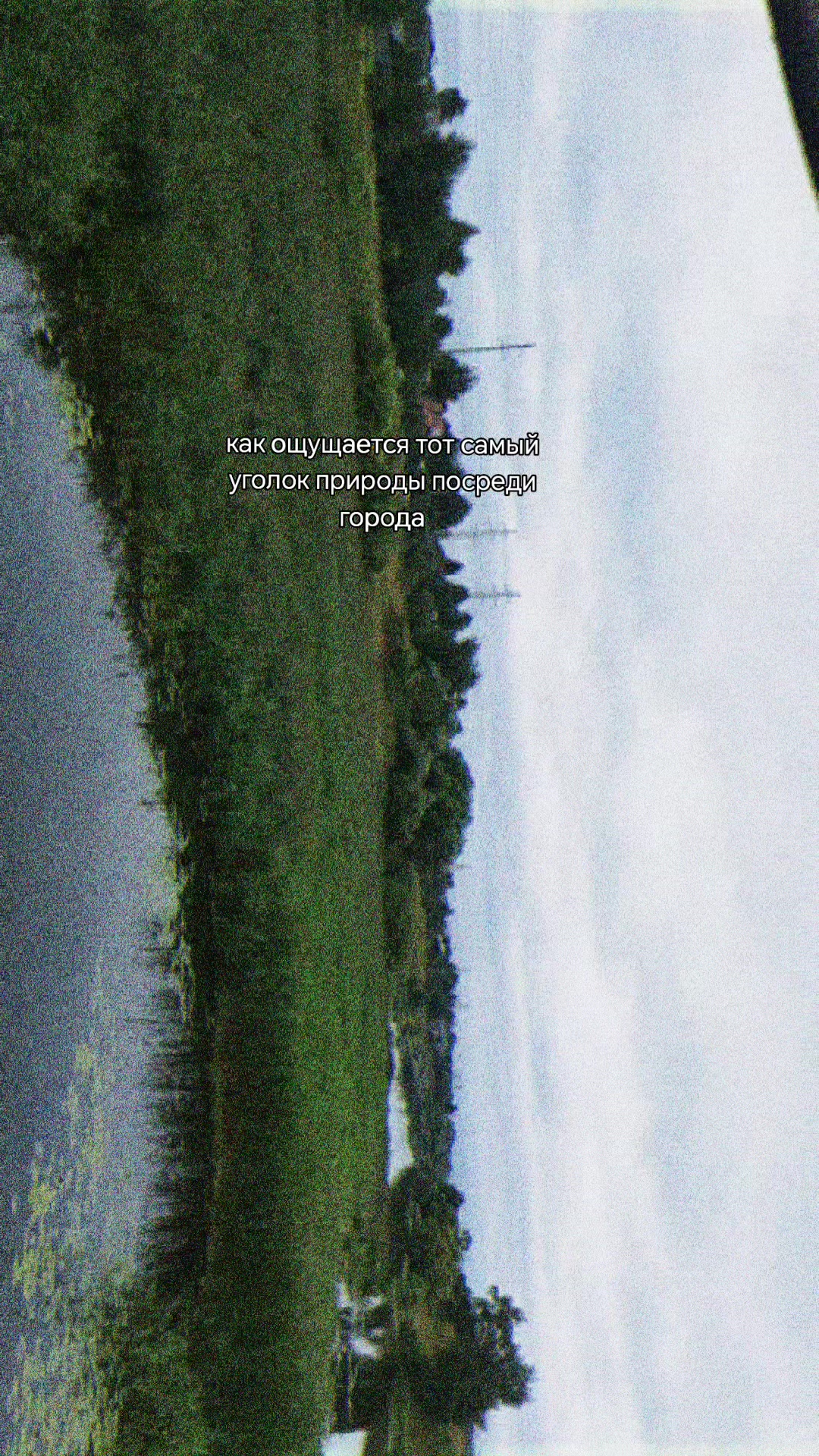 @˖&dagger;𝑨𝒌𝒊𝒓𝒂𝒎𝒆𝒓𝒖˖݁𖥔݁💿<𝟹