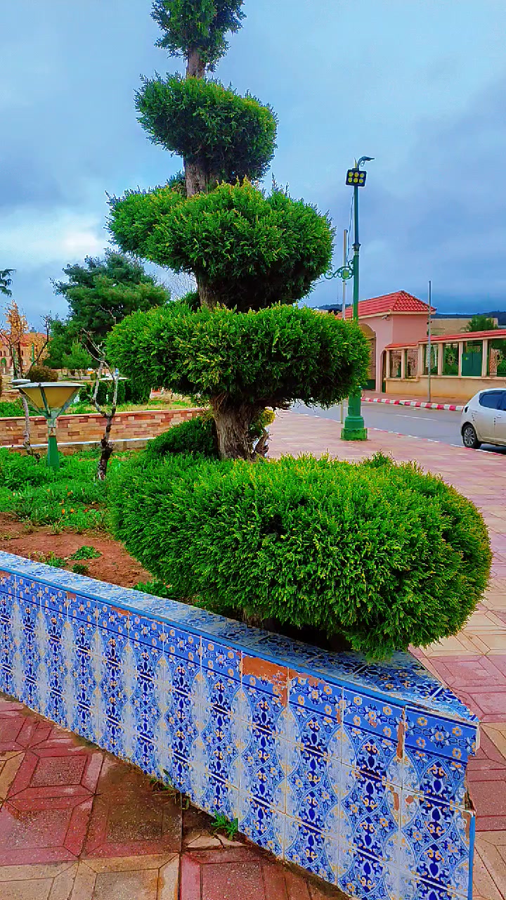@الفنك الجزائري Algeria