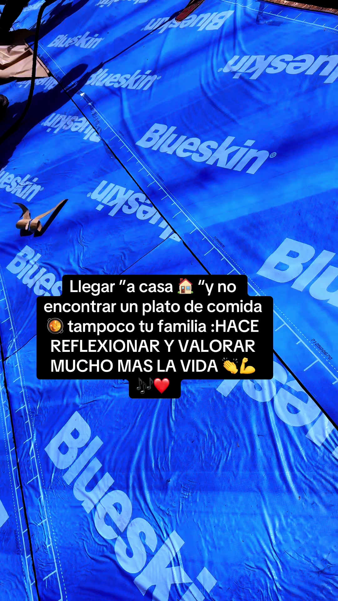@ օʀȶɨʐ-593♪✩🇪🇨