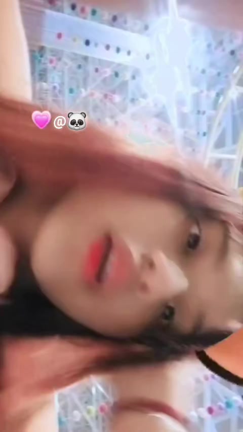 @🐼