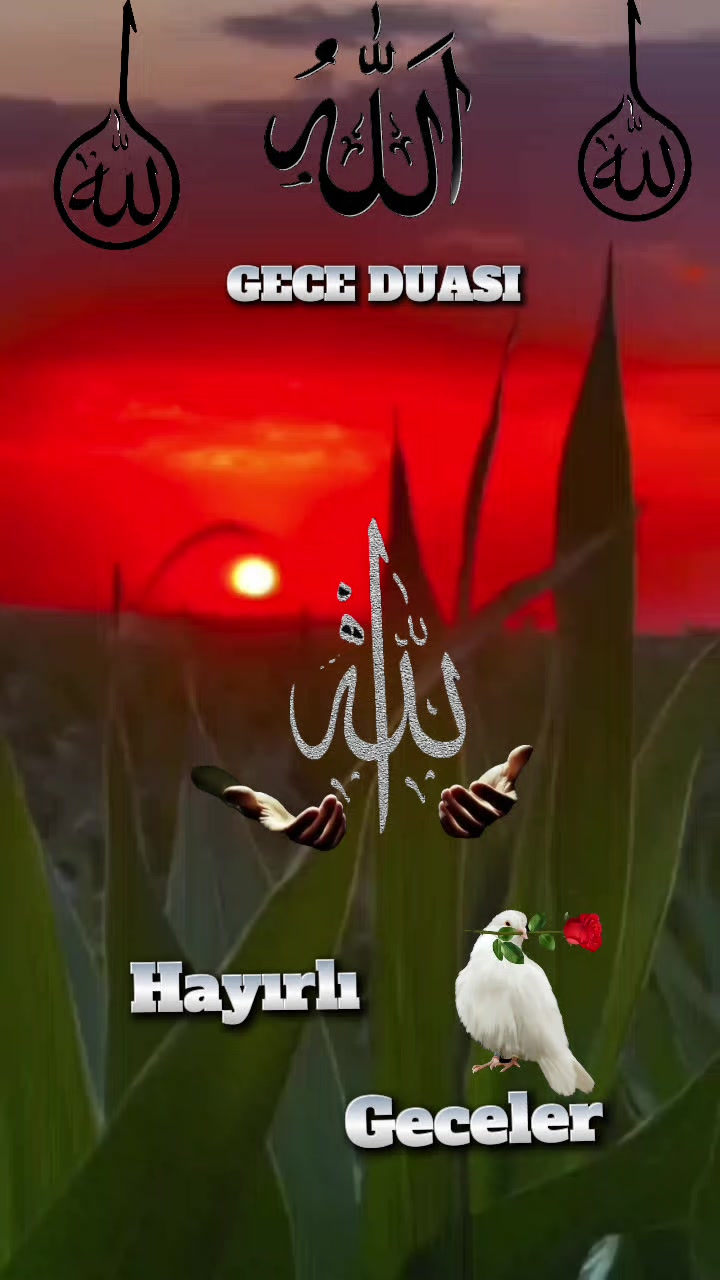 @🇹🇷҉͜͡✭DAMLA🦂GÜL🇦🇿҉͜͡✭