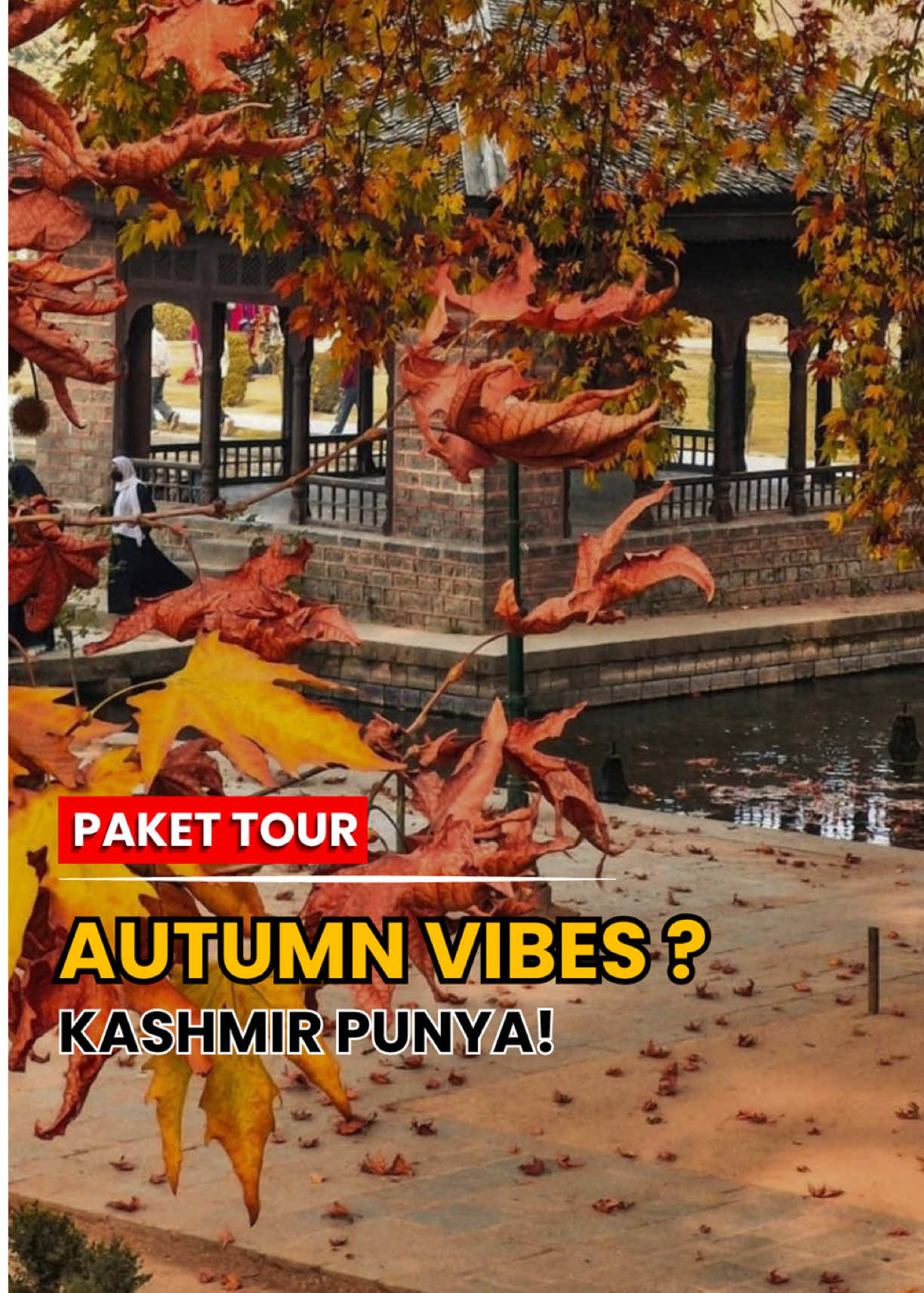 @TRAVEL TRIP KASHMIR INDIA