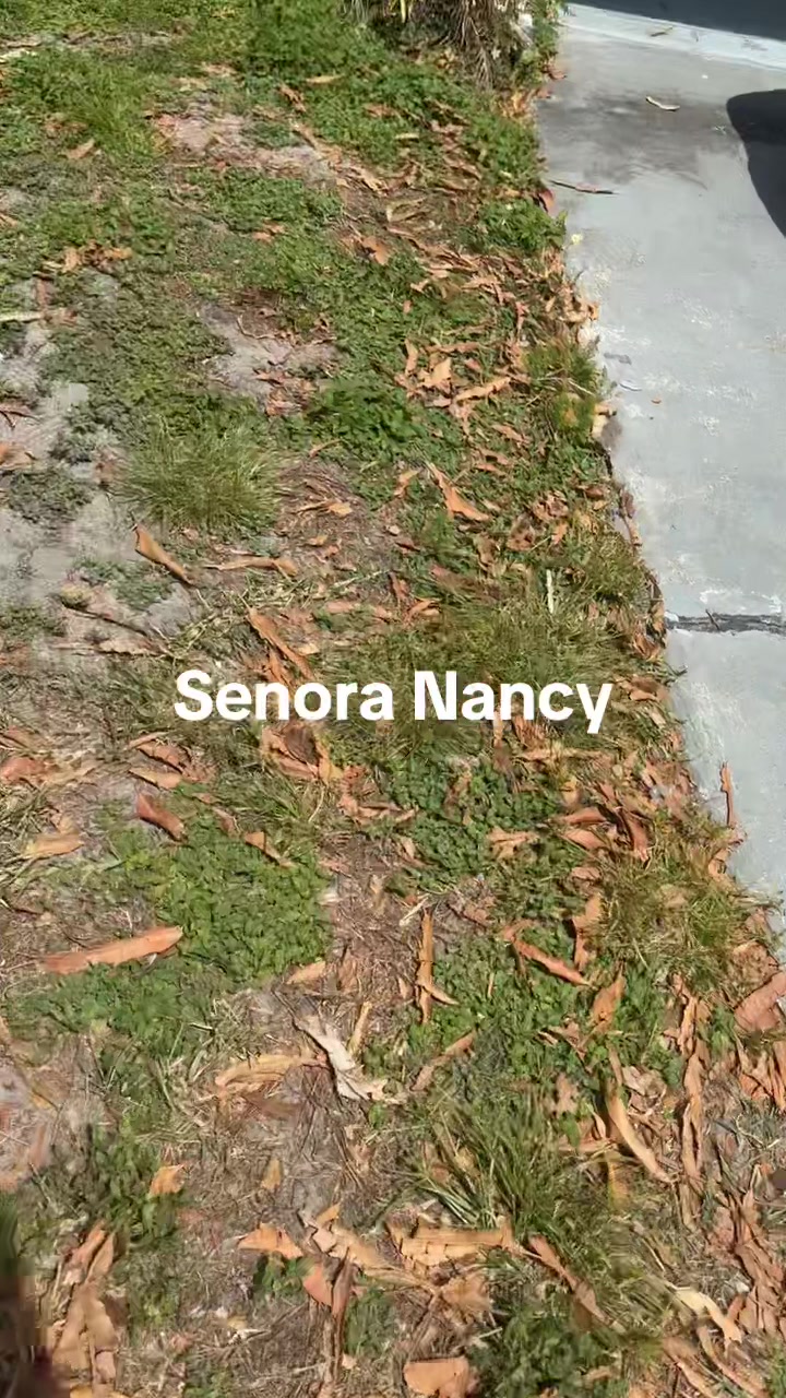 @Xavier Serrano