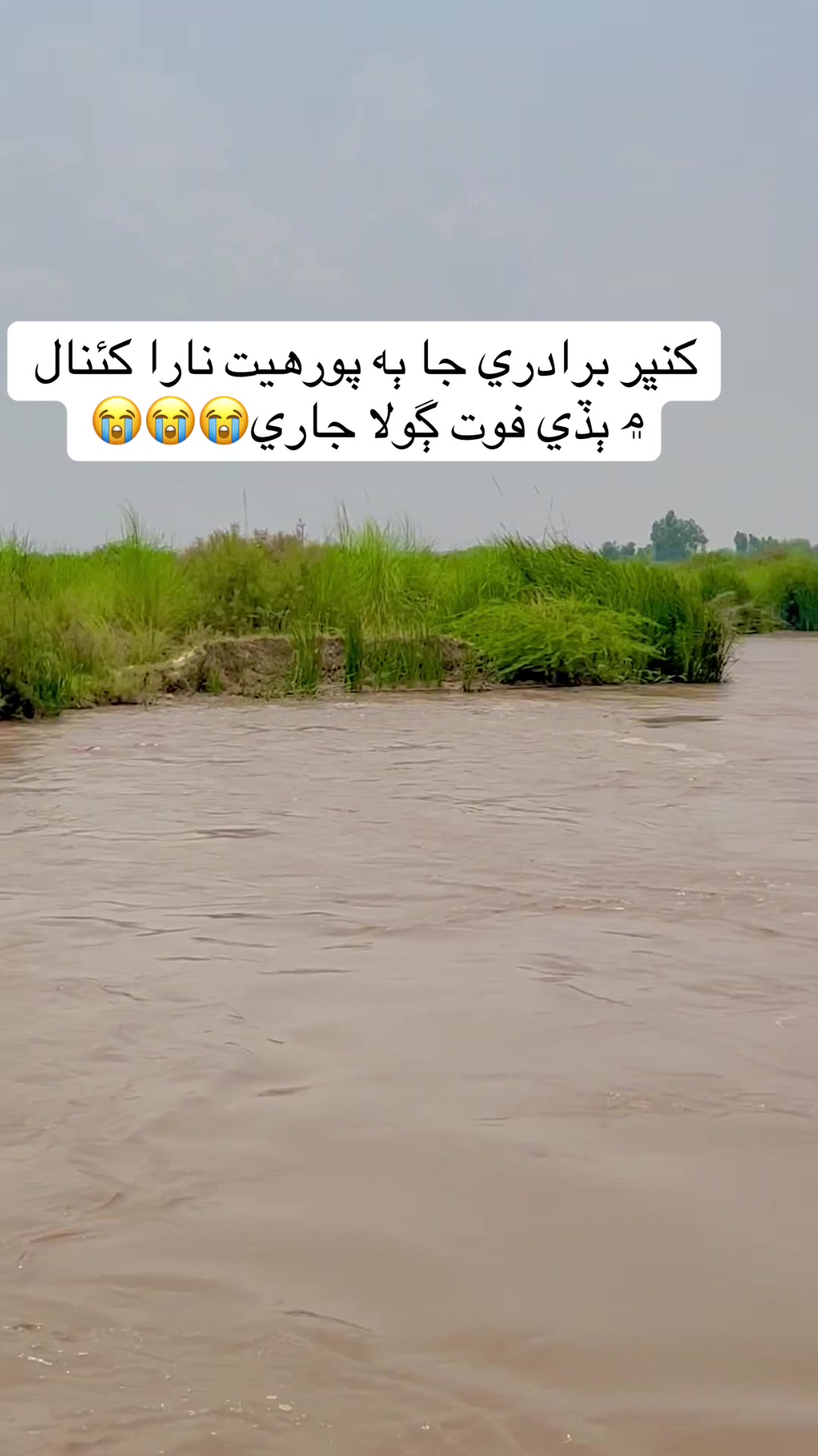 @sahito.sattar