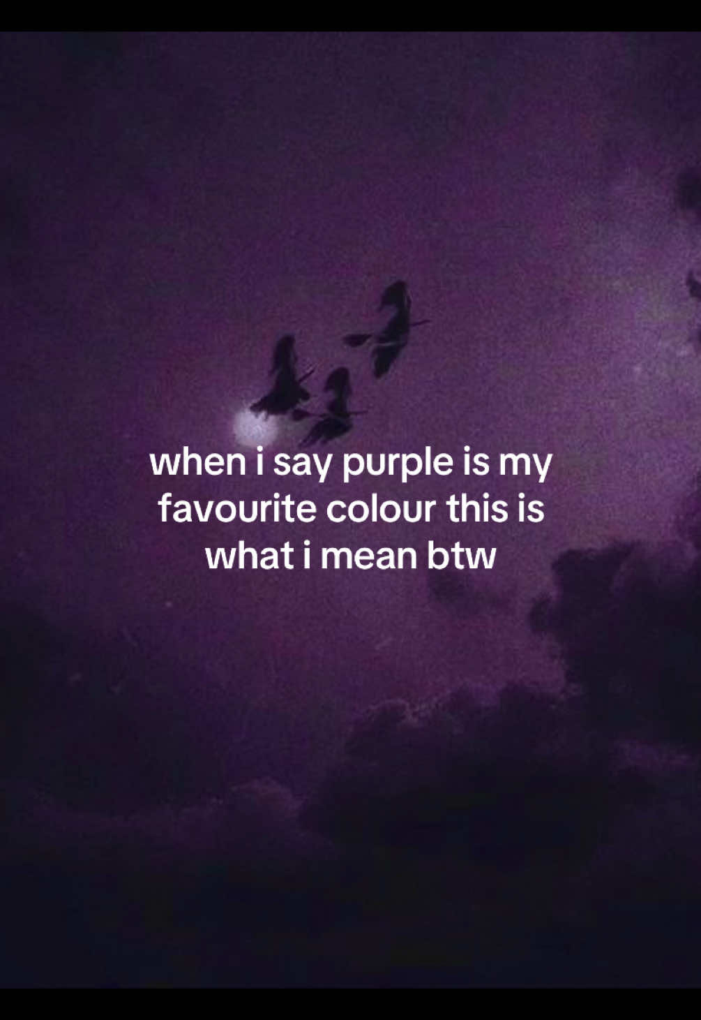 @🪽