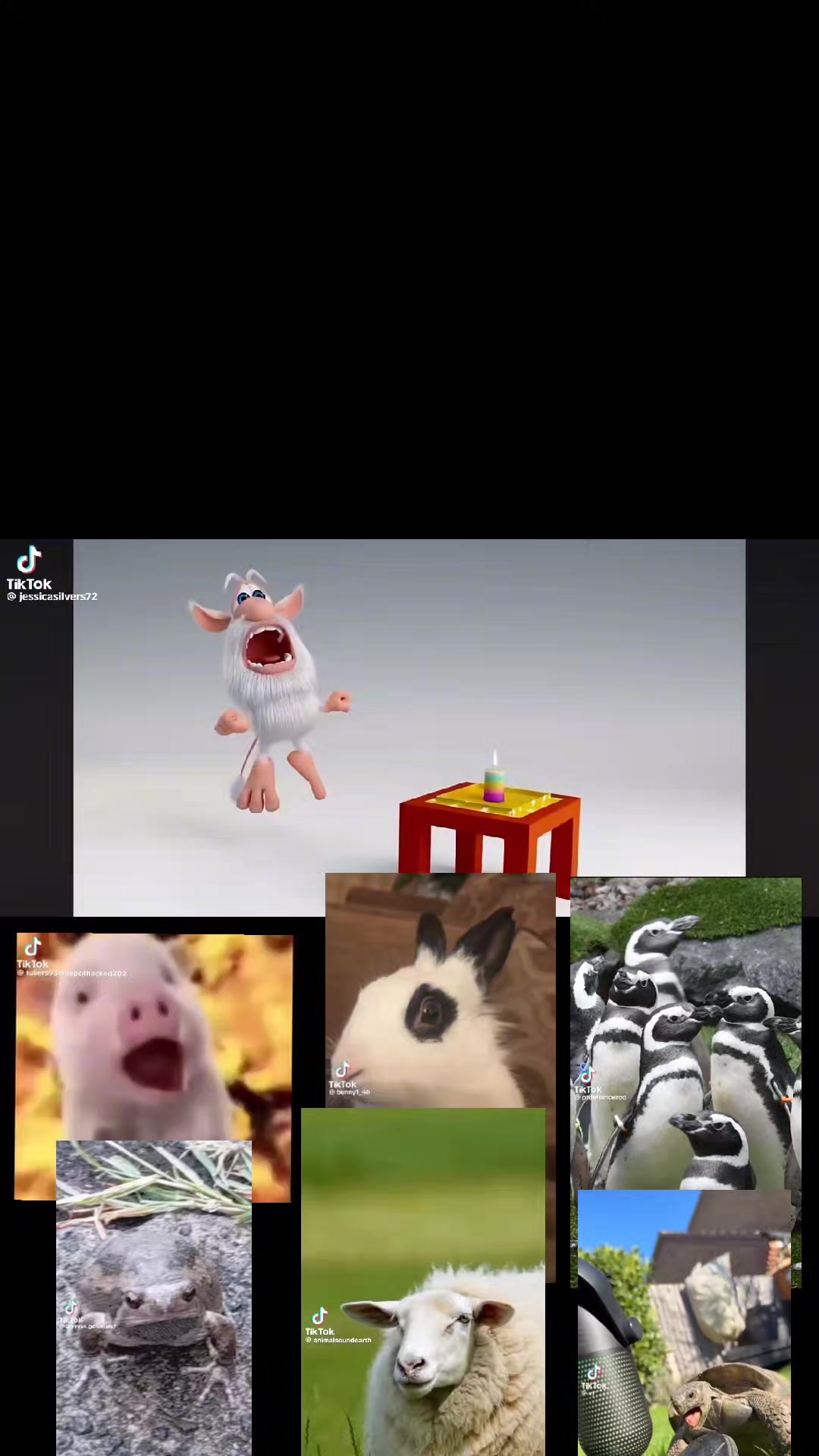 @Super lit Animales Kids