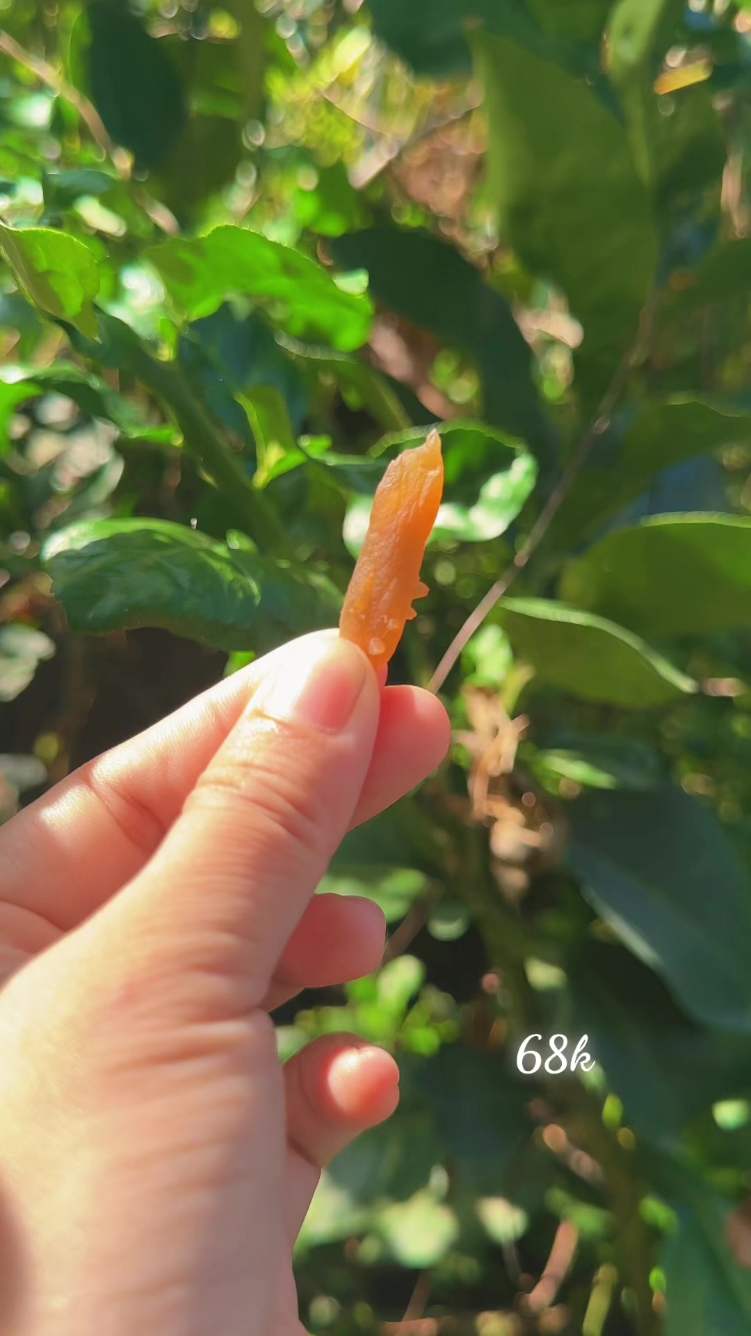 @Thích Đá Thô Nhưng Thật 🌿