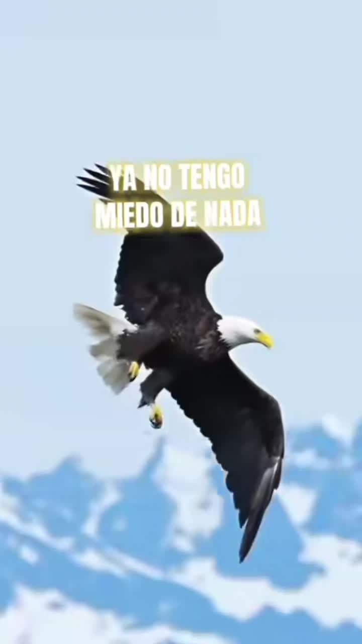 @❤️🩹 Mary chura ❤️🩹🇧🇷