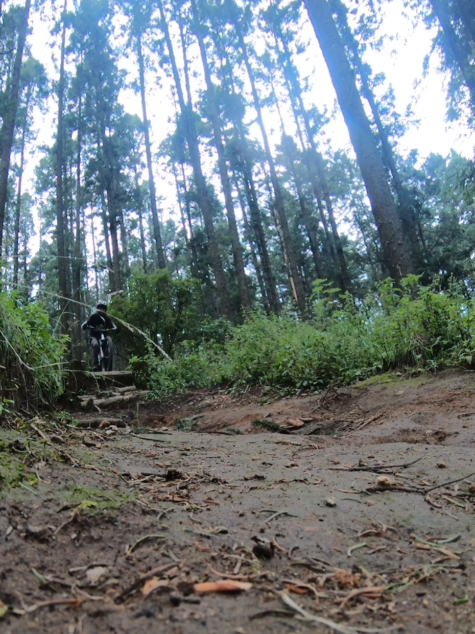 @César Ayala Mountainbiker