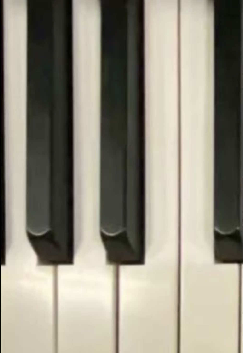 @♫♪丰 𝐇𝐨𝐥𝐥𝐲 丰♫♪