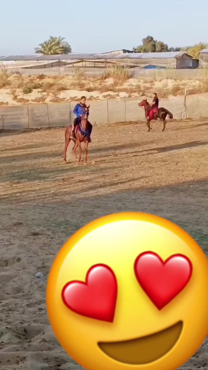 @شريف ابو مسعود