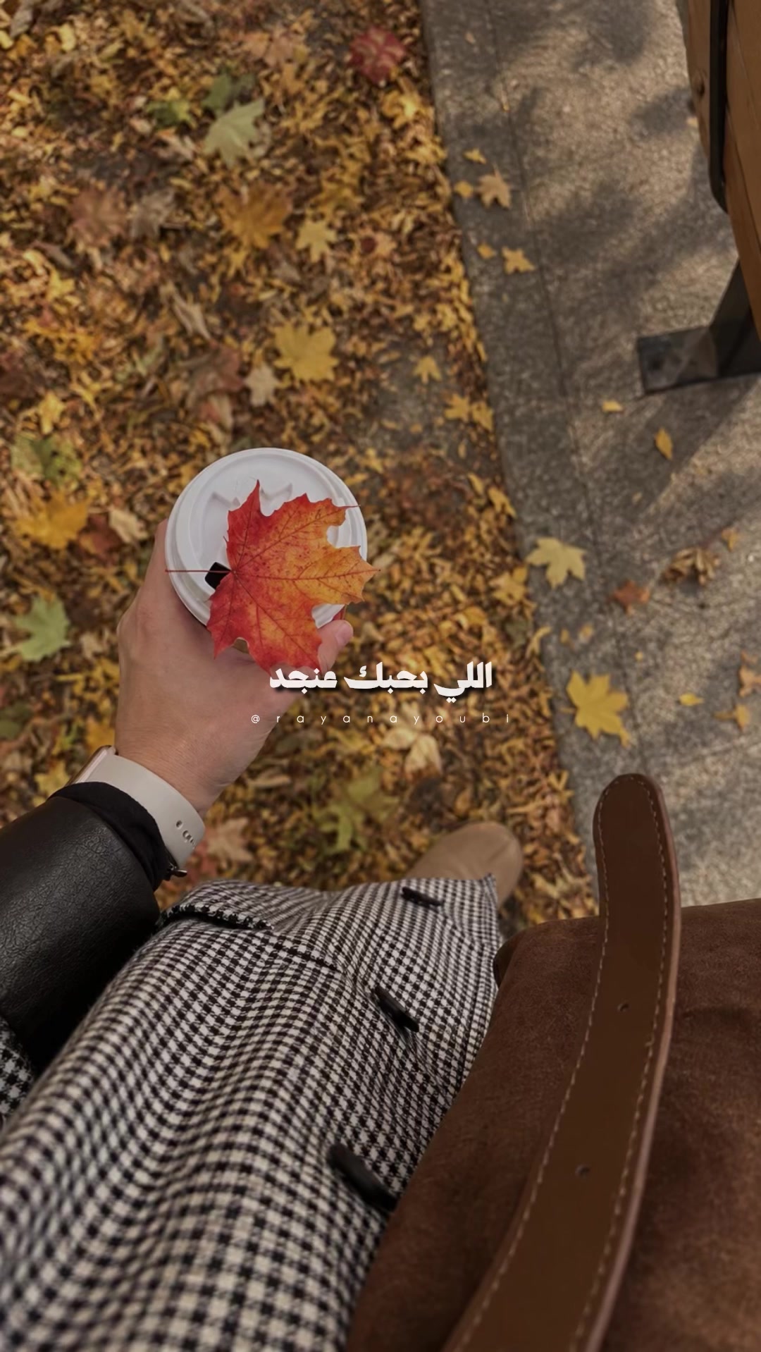 @Rayan El Ayoubi