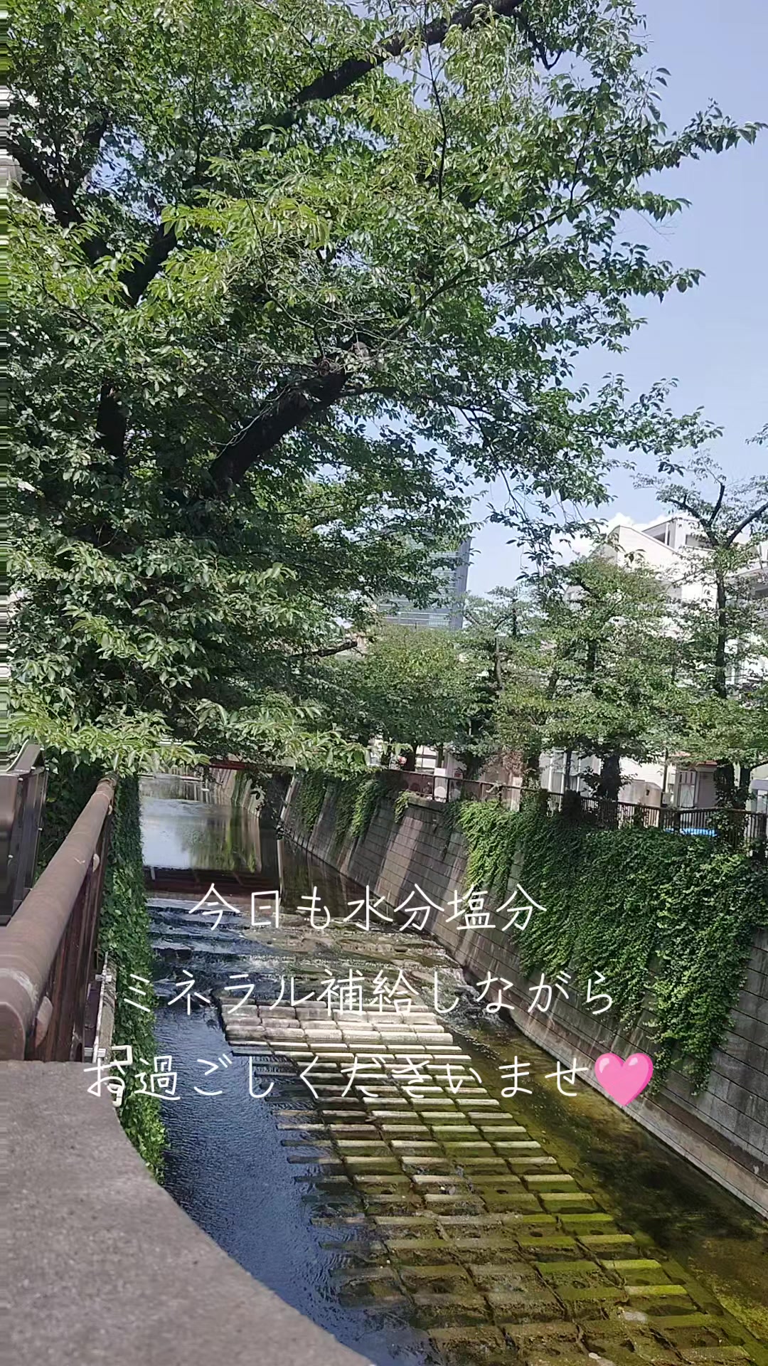 @ðºðžðžðððð¯ðµïœŽïŸïœš