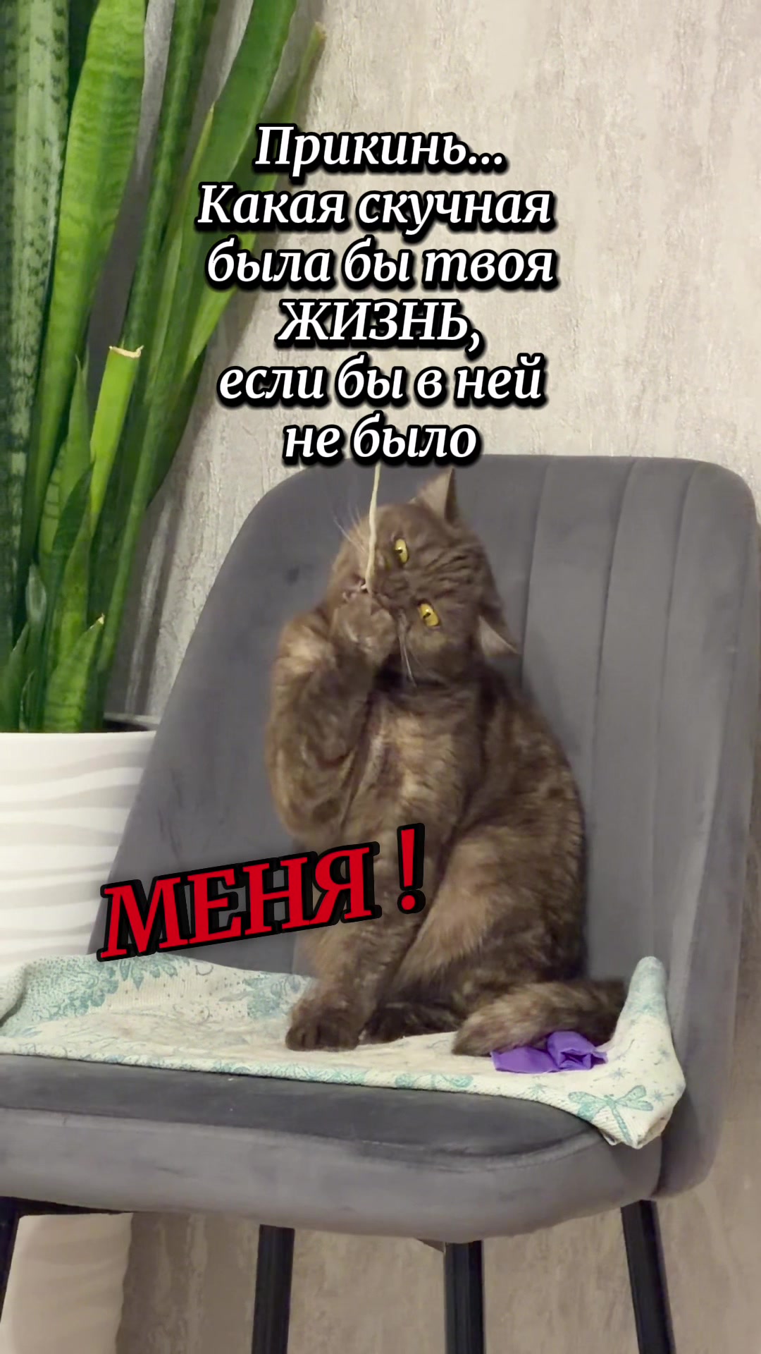 @Олеся Шарипова Ловская🇰🇿