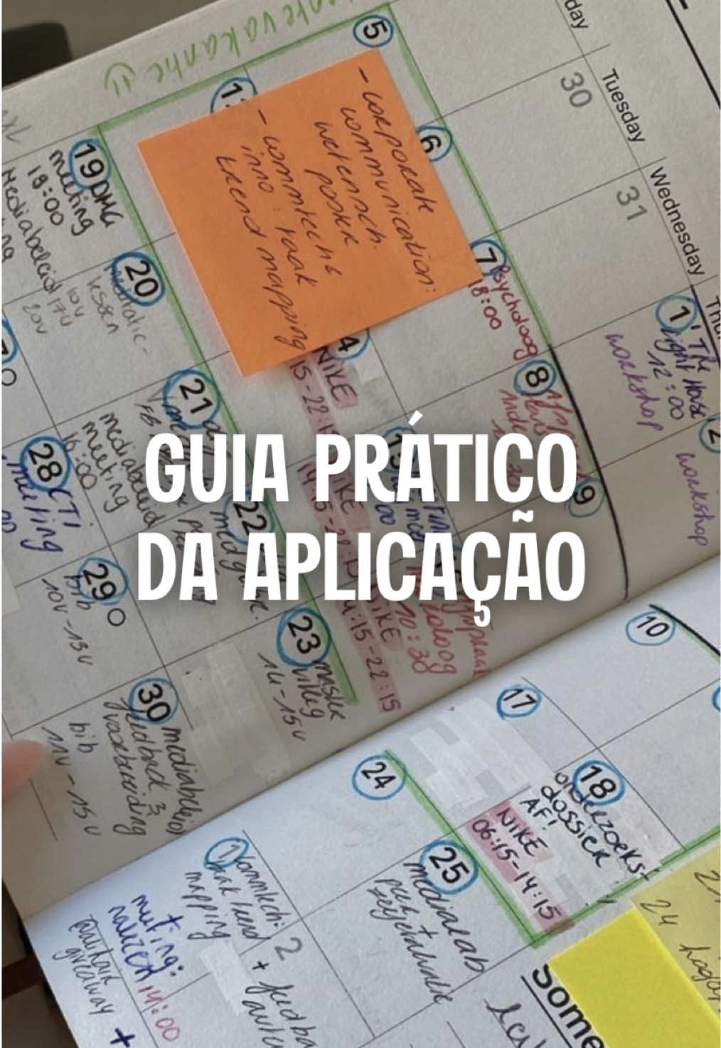 @Leticia Rebelo