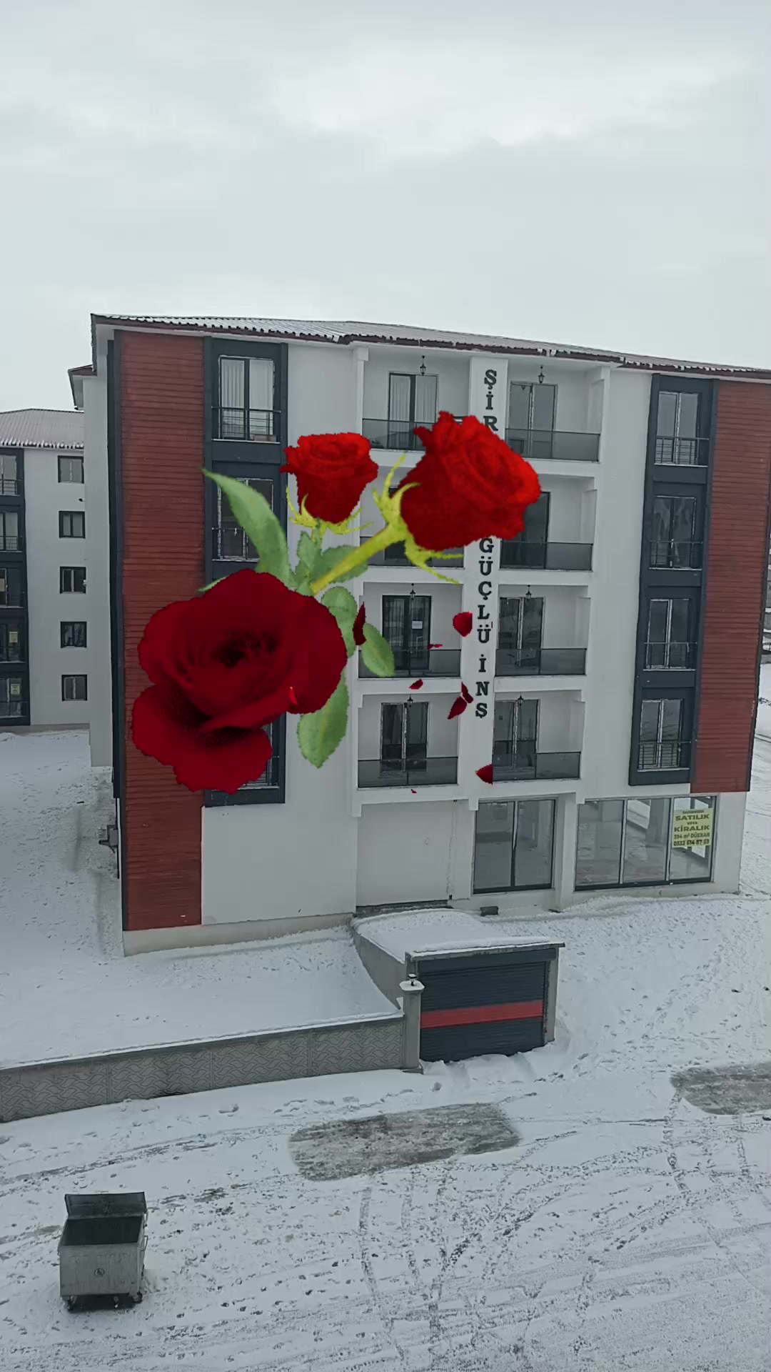 @𝓗𝓲𝓻𝓪𝓼𝓾
