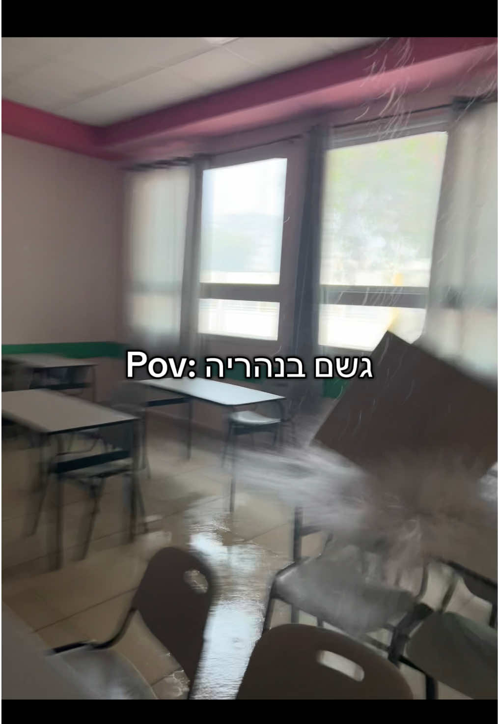 @🐚