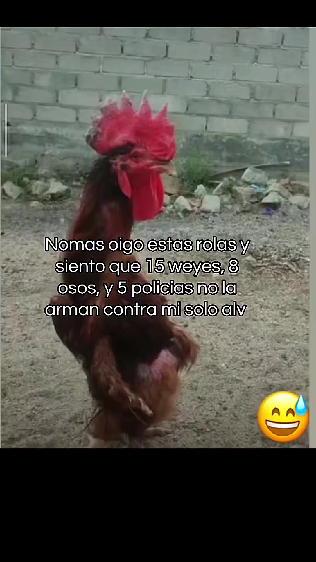 @mateoss 🇲🇽🪽💪🪽