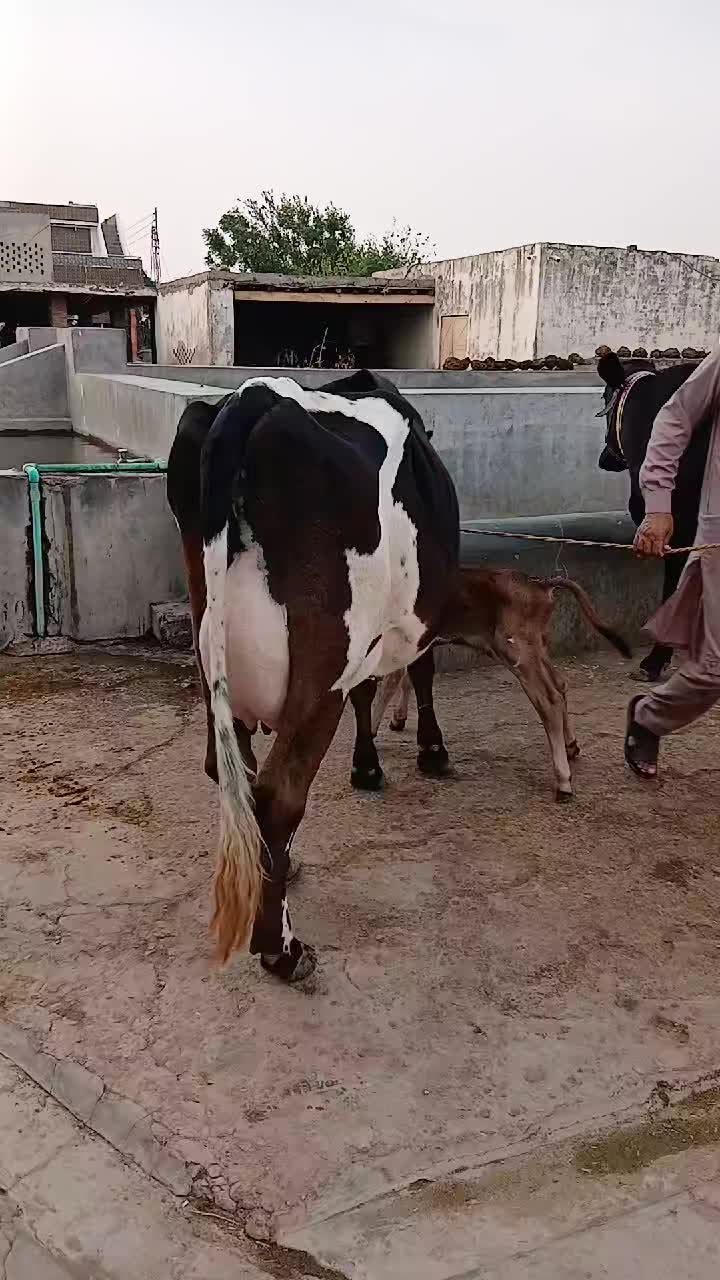 @Farming and Business Ideas