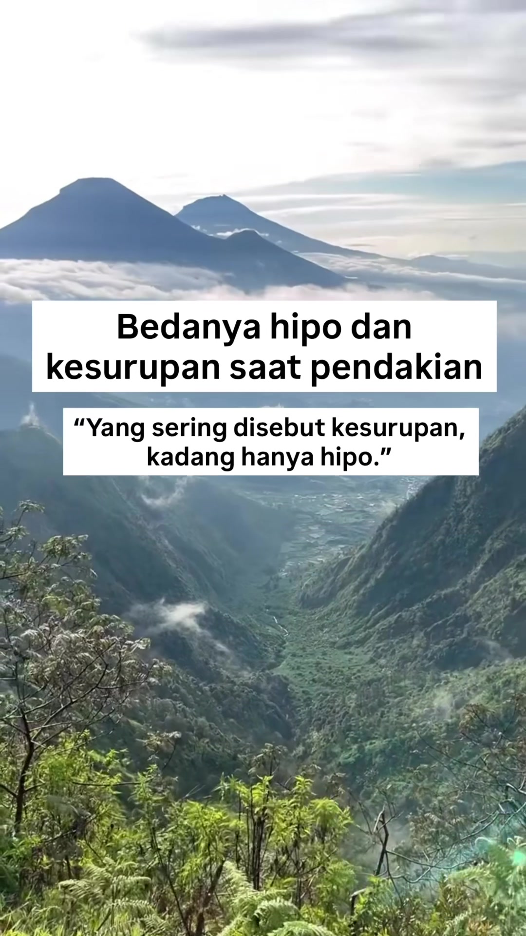 @Zaink Nst