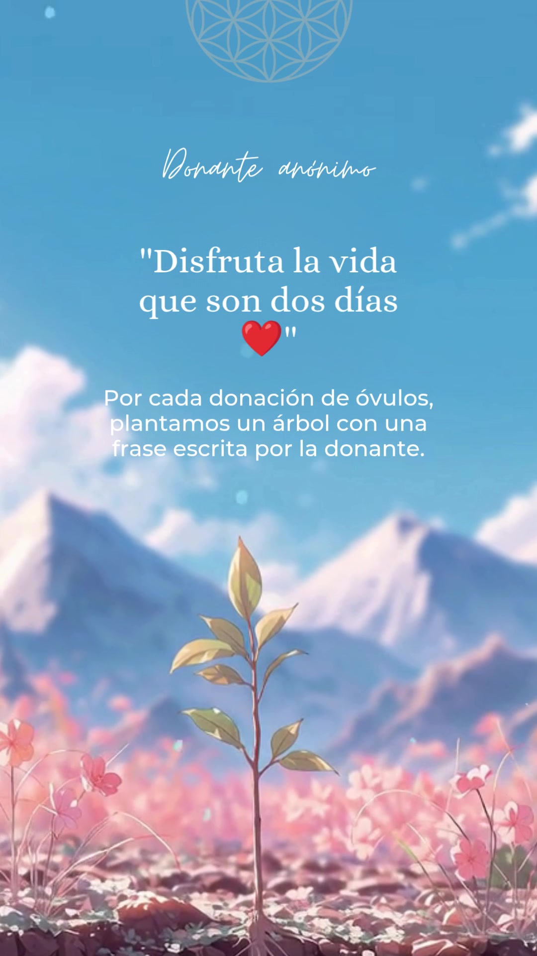 @Yo Soy Flora