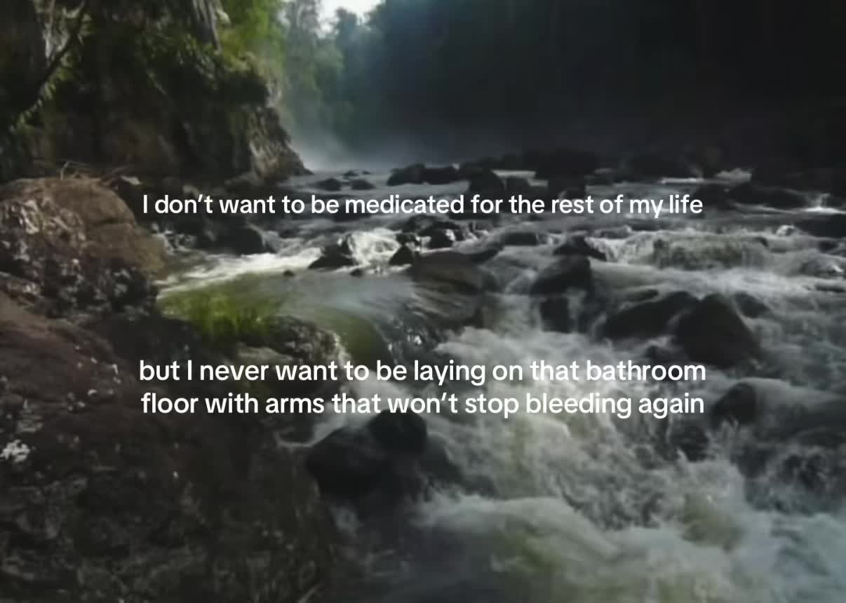 @𝒱 🪽