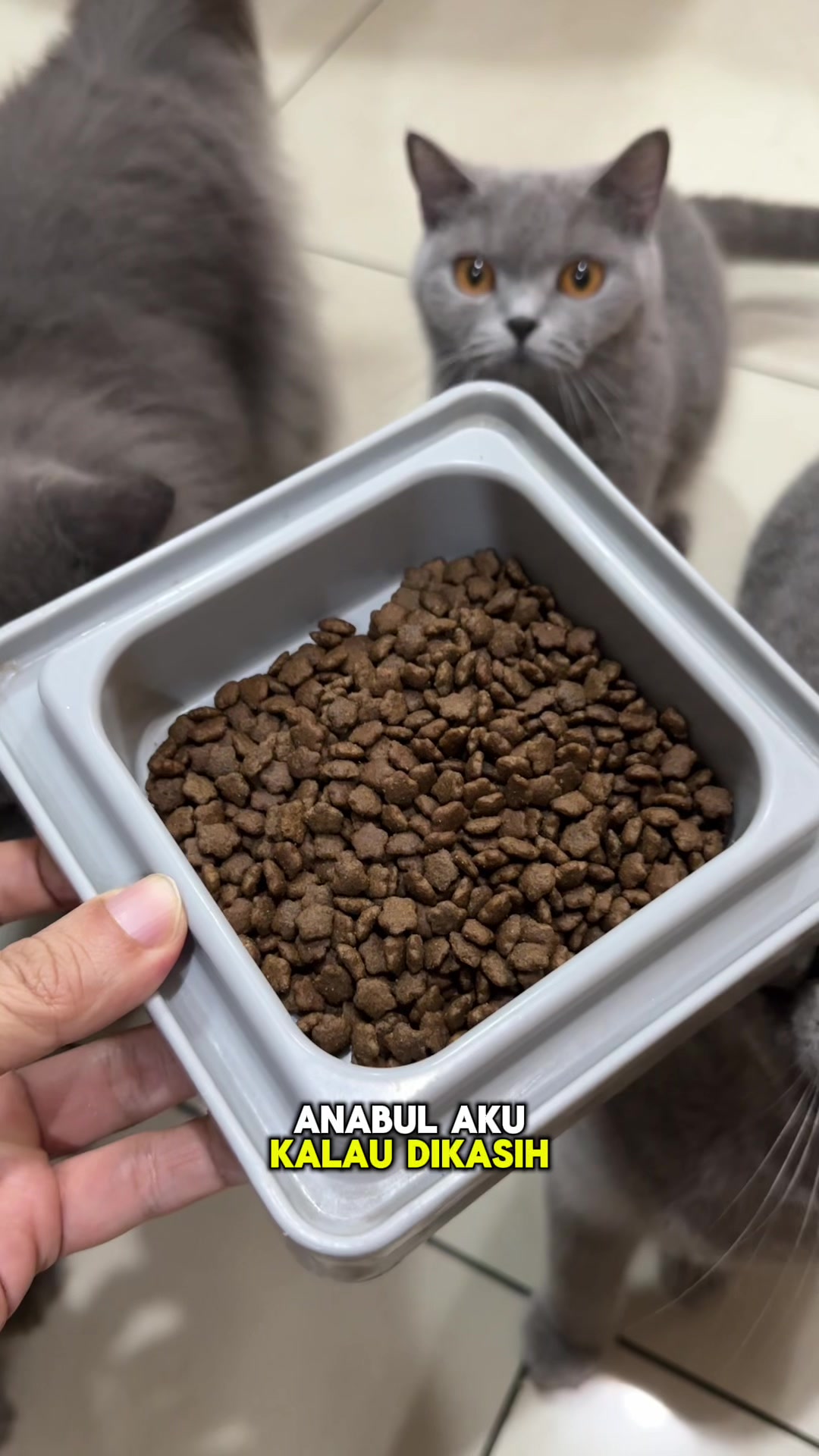 @Panggil aja JEDUT 🐈&zwj;⬛