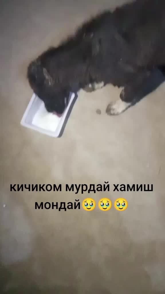 @оди
