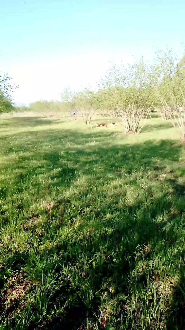@Bez4712