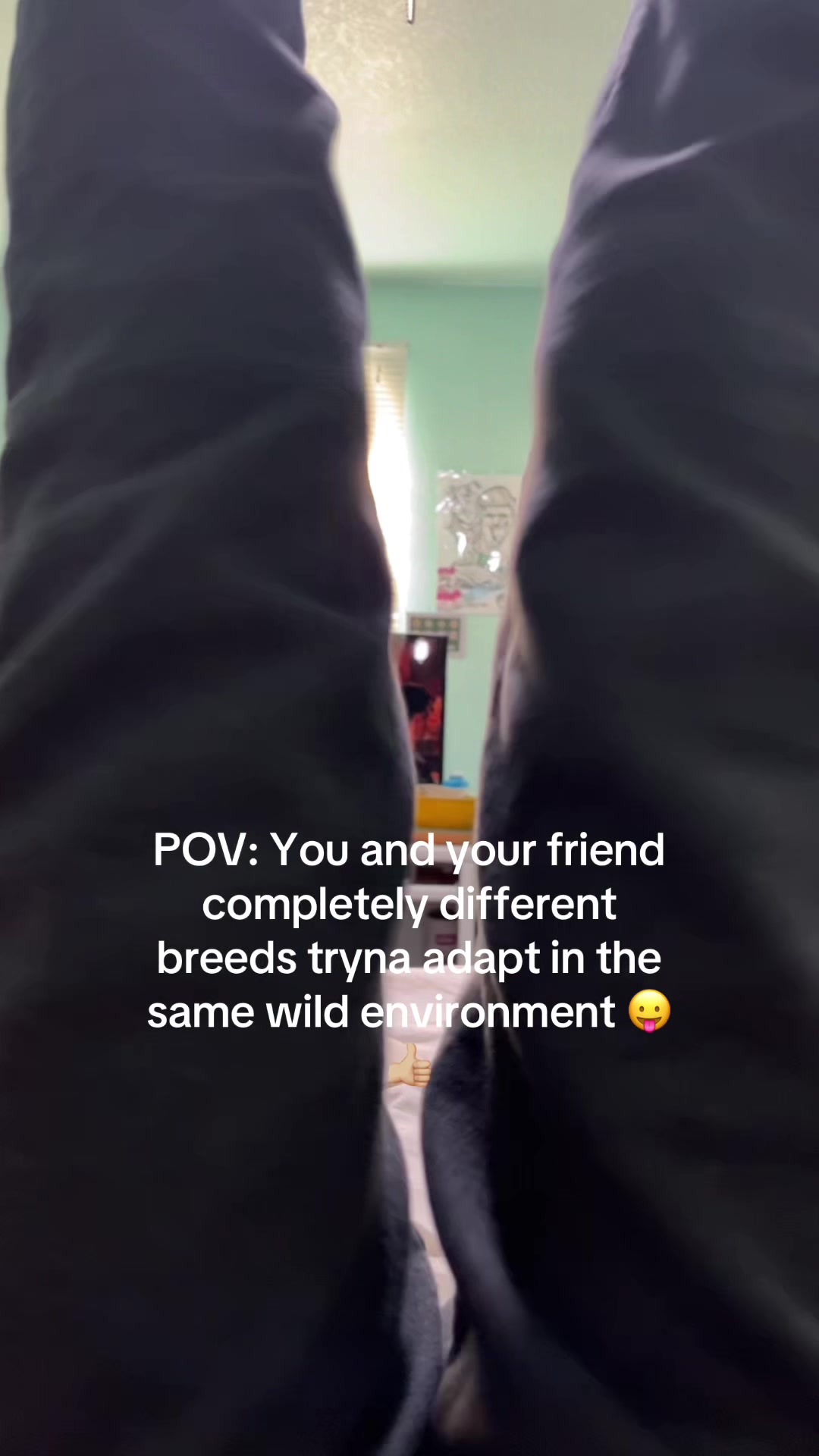 @MeMeTGoat😛