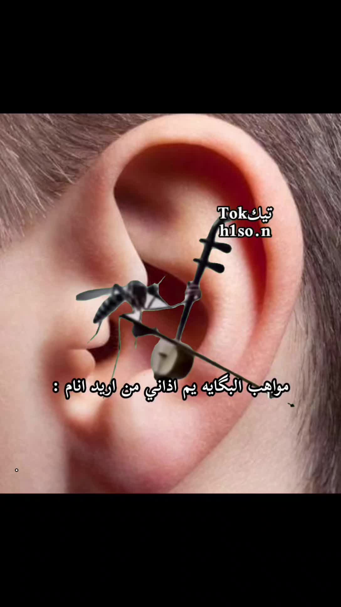 @حسين