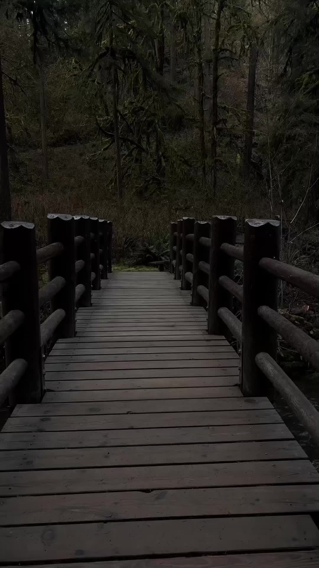 @❄️🎵💕