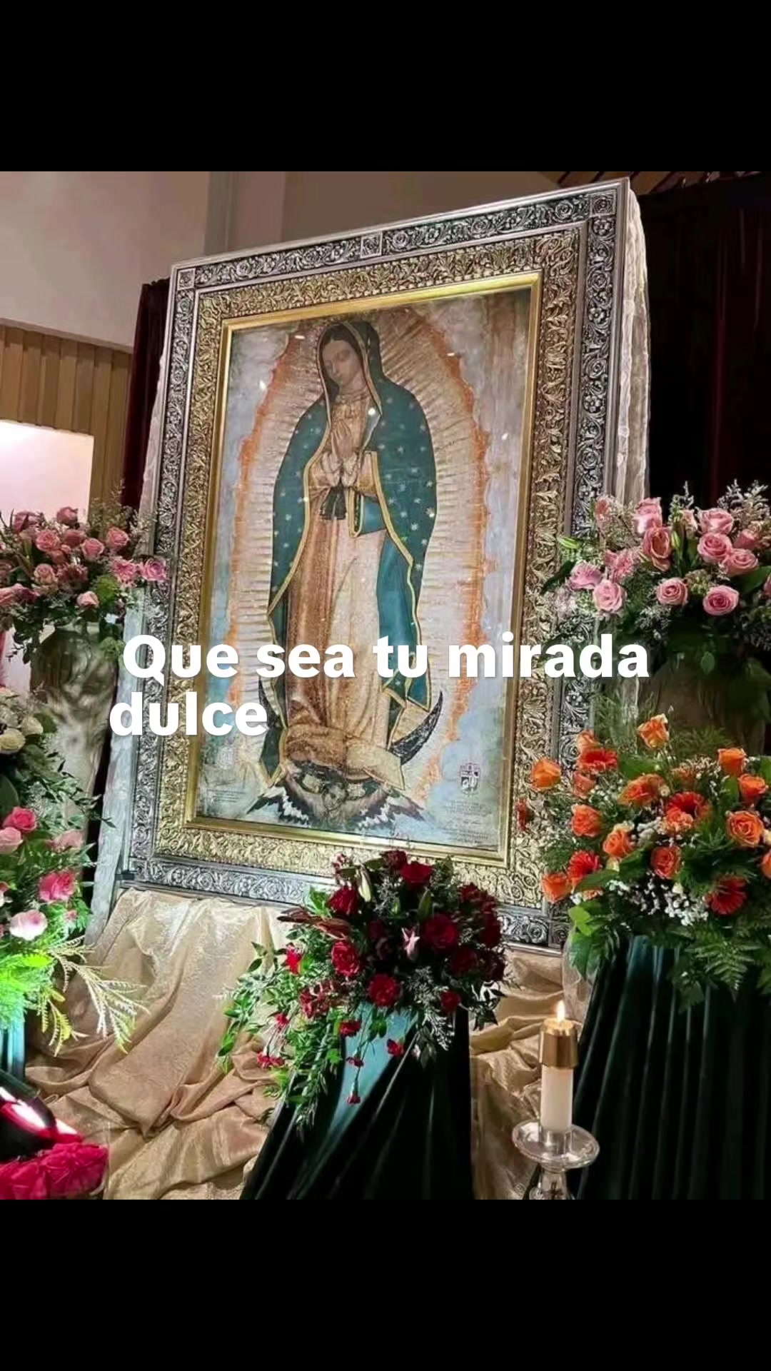 @Bertha Torres