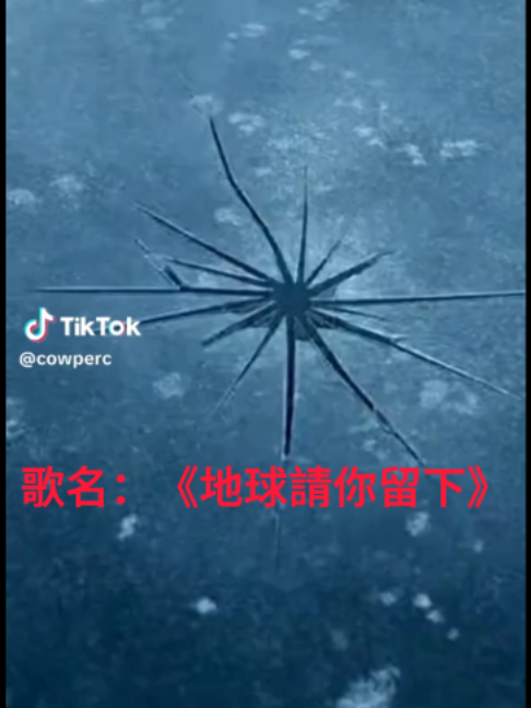 @未來之書