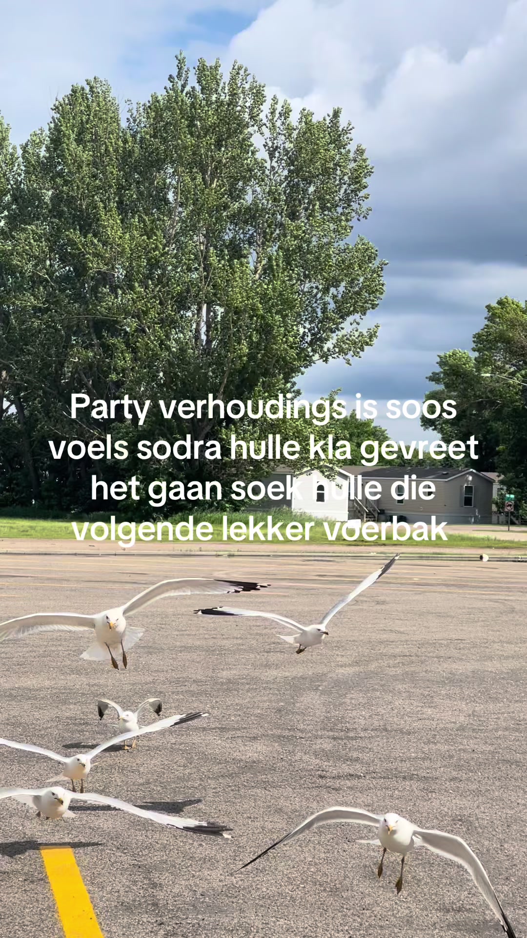 @Spikkels🇺🇸🇿🇦