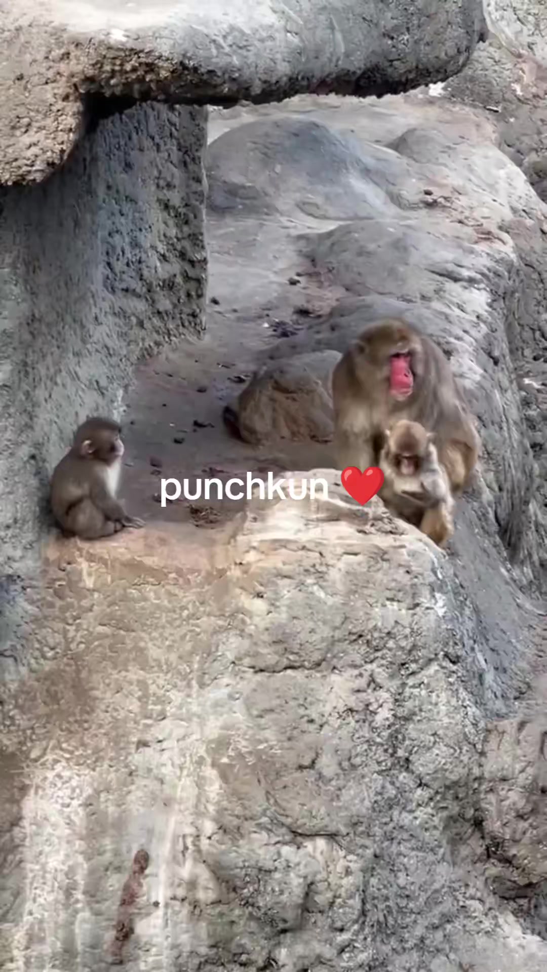 @babypunch🙈