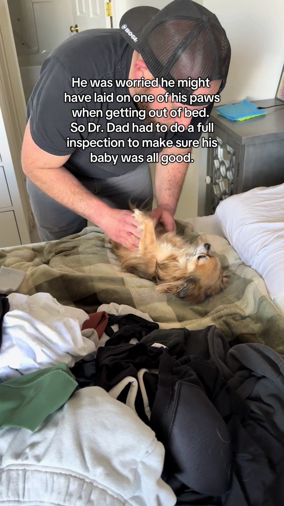 @Mochi & Ali 🐾🇨🇦