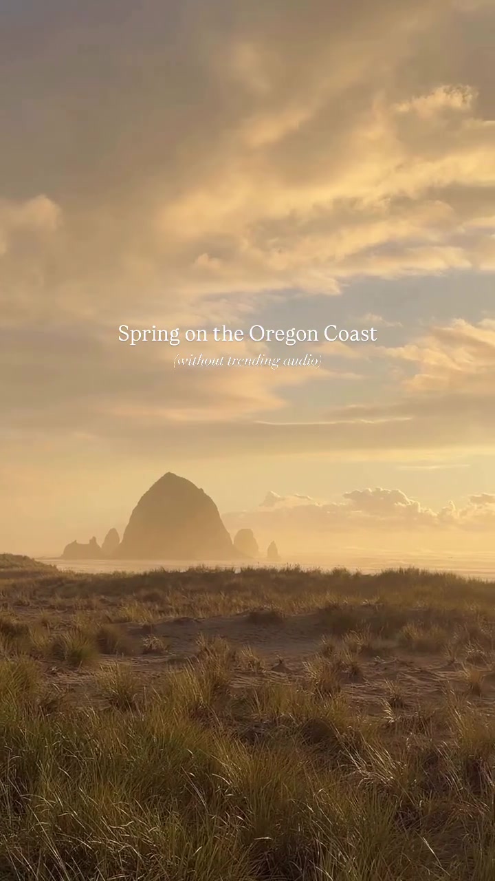 @The Oregon Coast