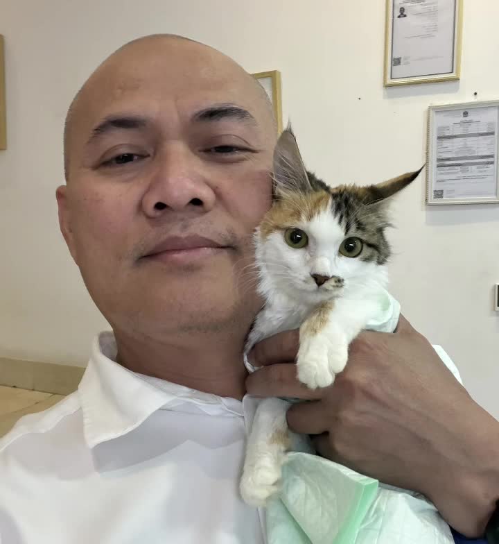 @StrayCatsAngel