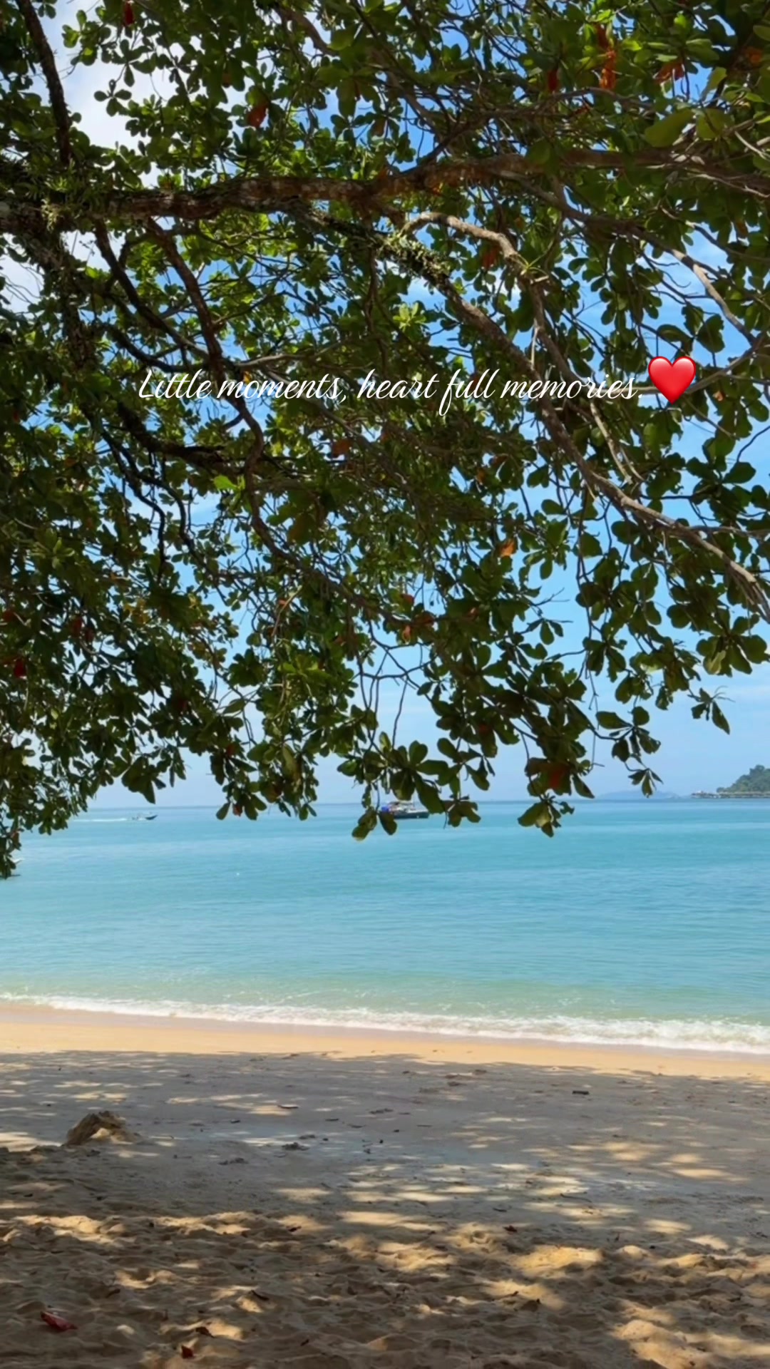 @🌷PunitahMuthamil🌷11:11
