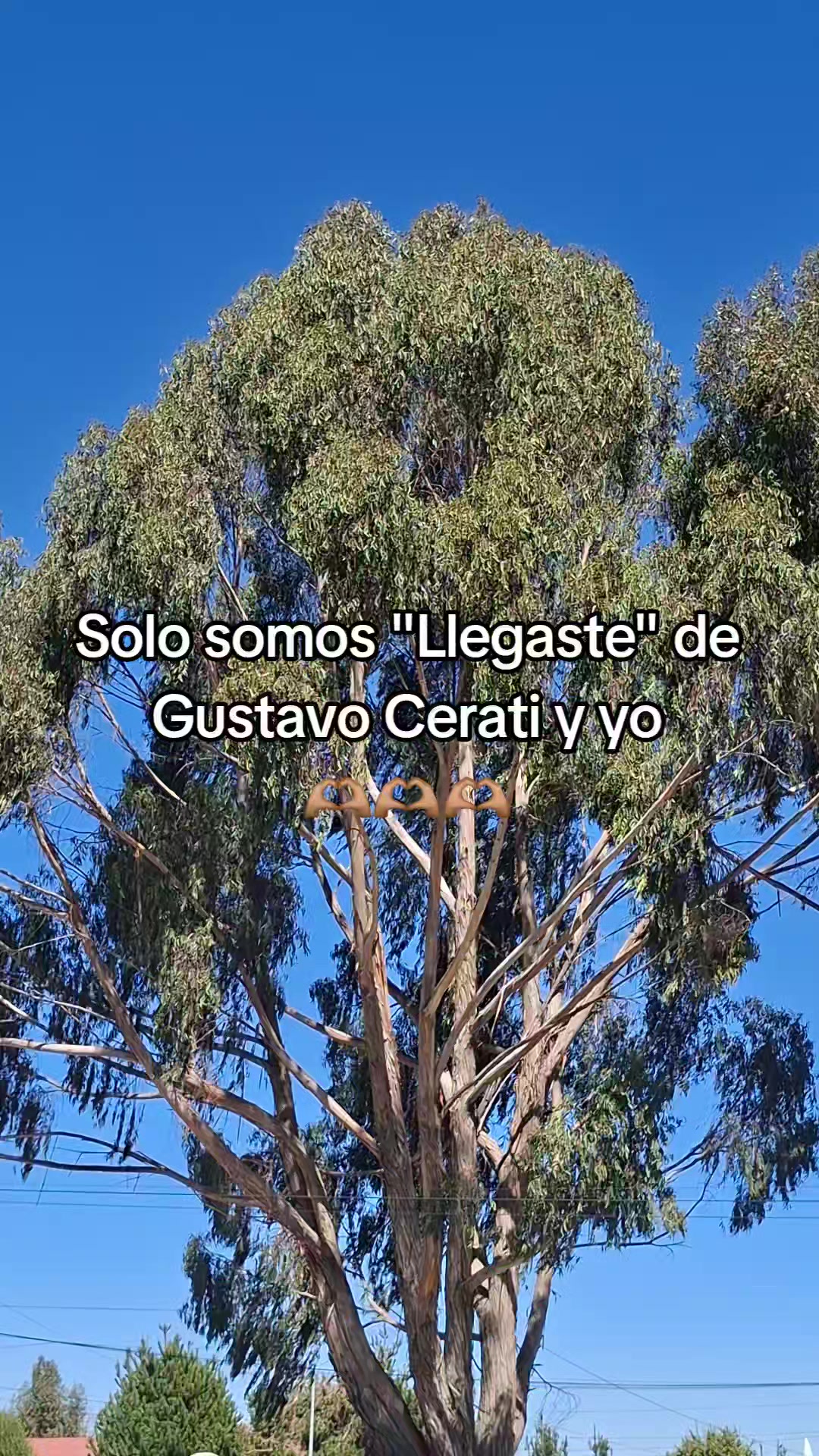 @Solo somos "..." y yo