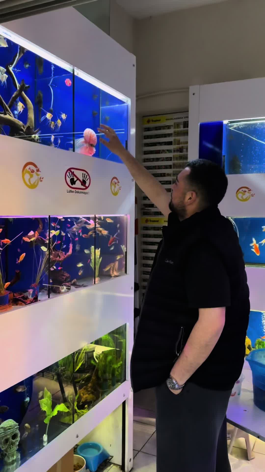 @KANMAZ PETSHOP