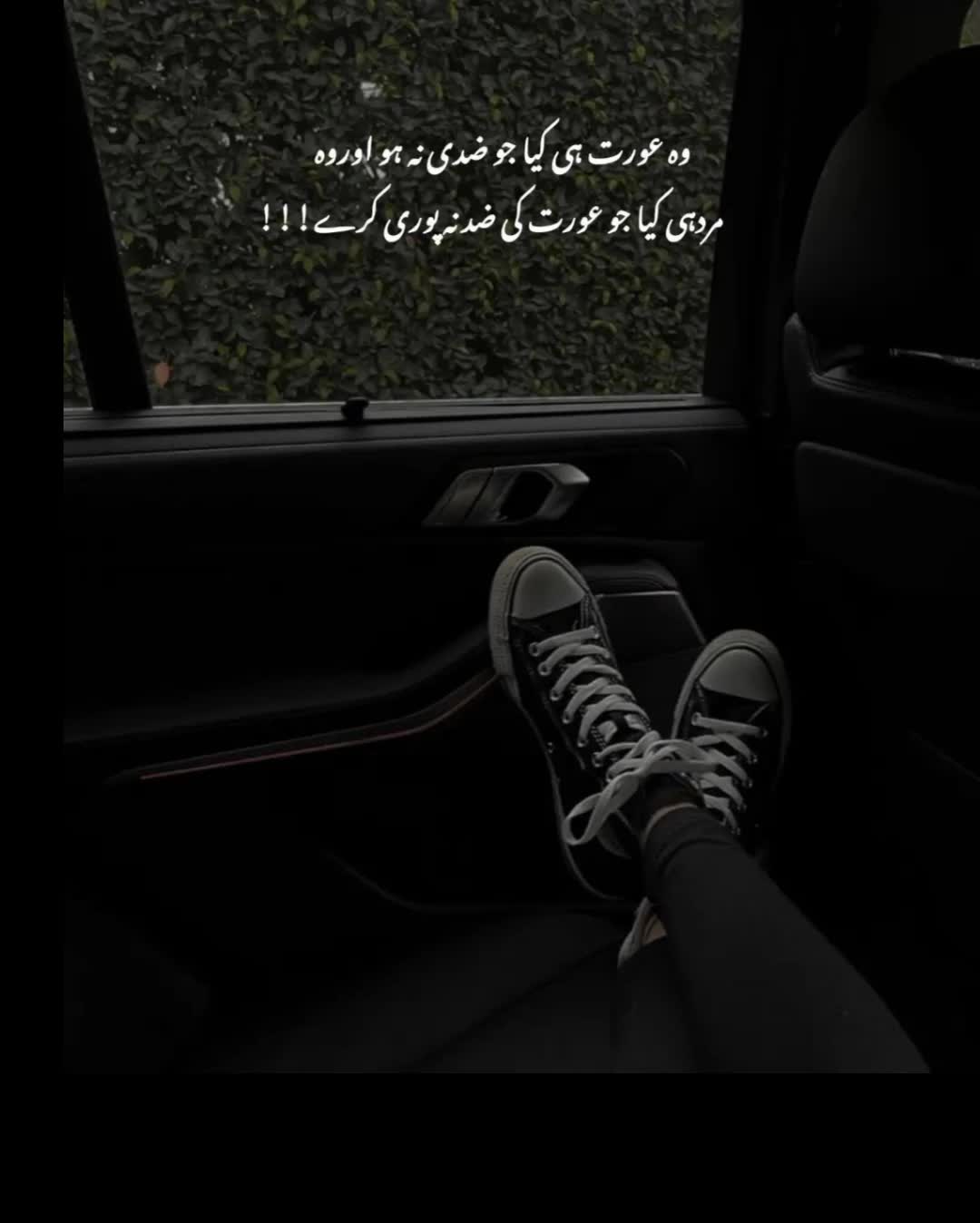 @M_E_S_H_O