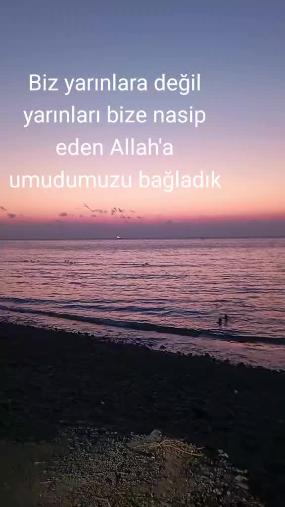 @Ömer Gök
