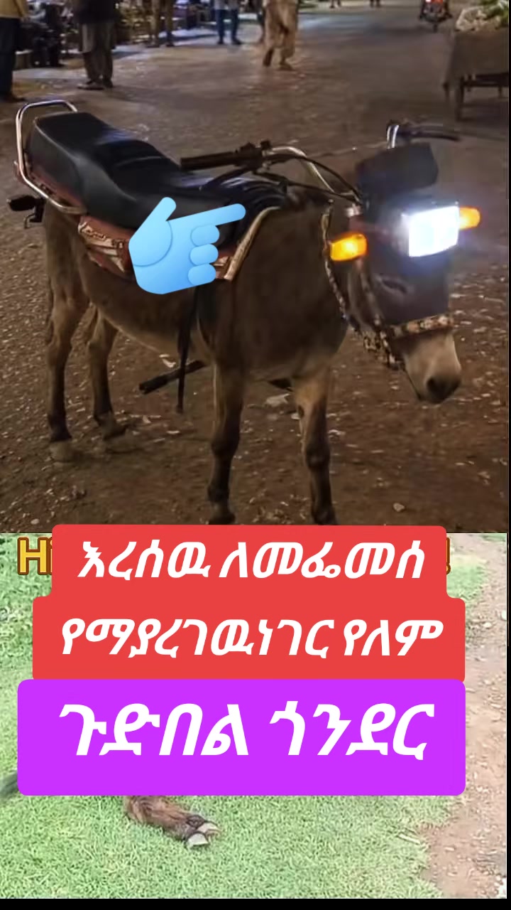 @Harun🇪🇹🇯🇴☝️🌹